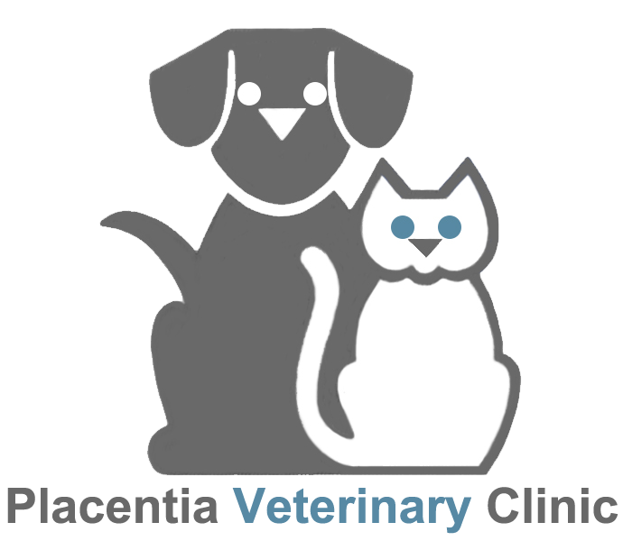 Veterinarian in Placentia | Local Animal Hospital | Compassionate Vet